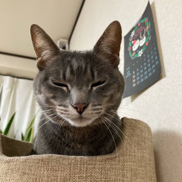 69cb2dfa 092d 407e bc53 ef43063e9ed7 1640444603067