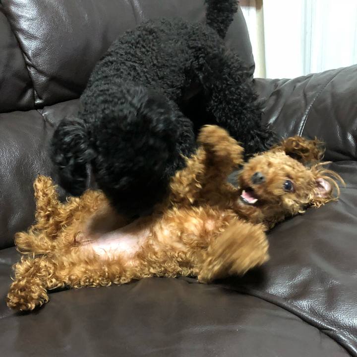 69cb33bb 1565 4633 8eda a0a5cb1e8606 1526560151240