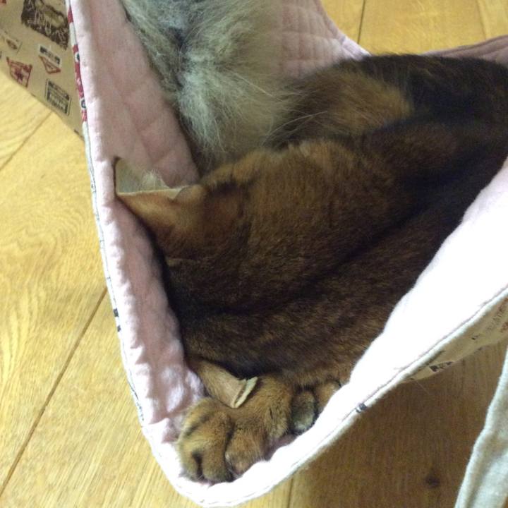 69cb6235 f808 49c6 b54d 19876fe61925 1567601022481