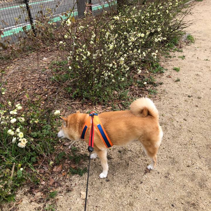 69cb7ea9 9b68 4677 b7a4 52c5d0b02cd9 1583895691486