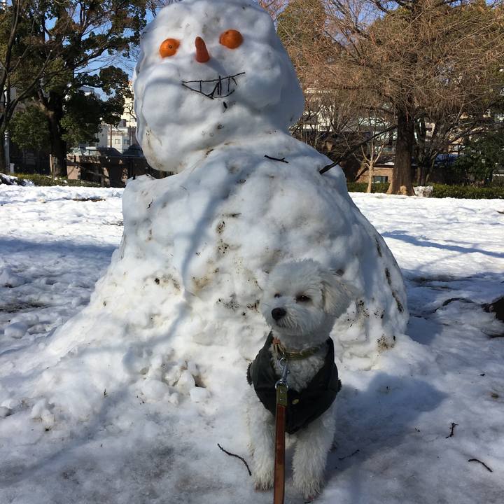 69cb94bc 66e8 4e09 ab31 272f2326046e 1516678157412