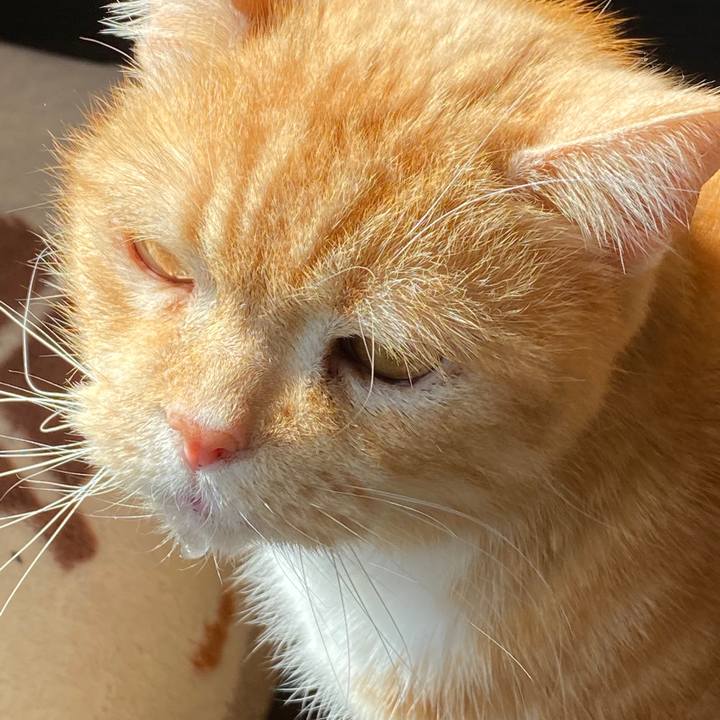 69cb9b75 de4d 4747 8036 305ac5d32824 1582085121814