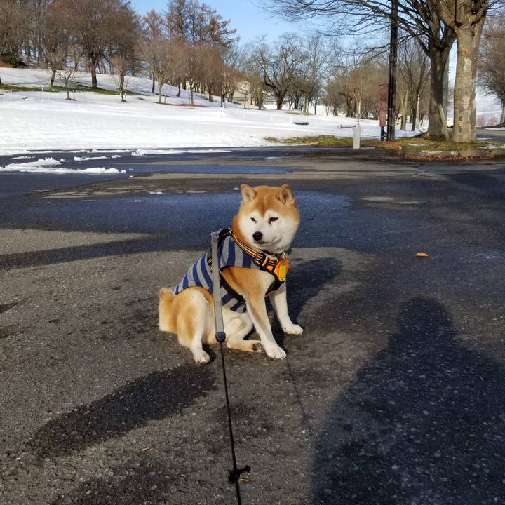 69cbb239 d21d 4890 a481 aaea76384c95 1638162057313