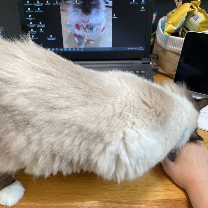 69cbb71b 9a3a 44f2 a606 7e89ce075754 1658842406036