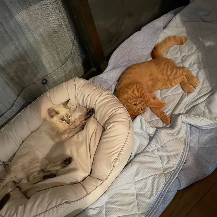 69cbc74d 850e 4cff a83c 3b0277abfebd 1729114015119