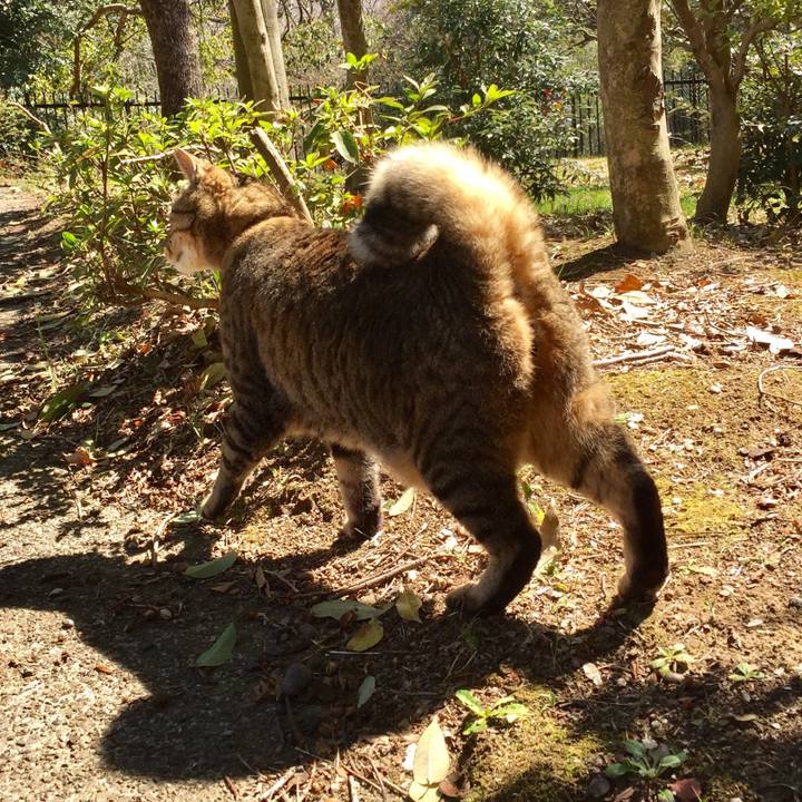 69cbc9c7 e43f 47b9 84b5 2d4de16d56eb 1553416497430