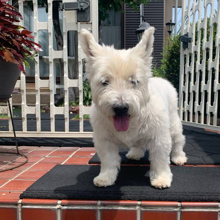 69cbeb02 bf38 4baa b04d 29dbb0e887f4 1719578642935