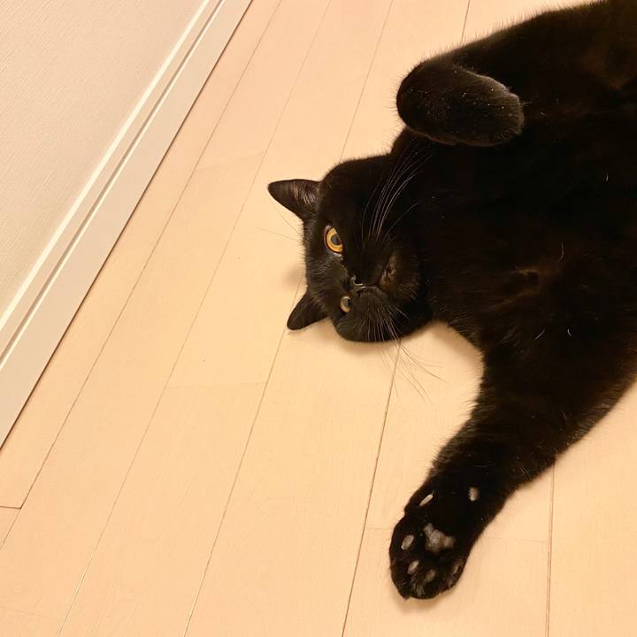 69cc1dbd bbcc 4fda aec2 e9f6384b4f51 1601467867171