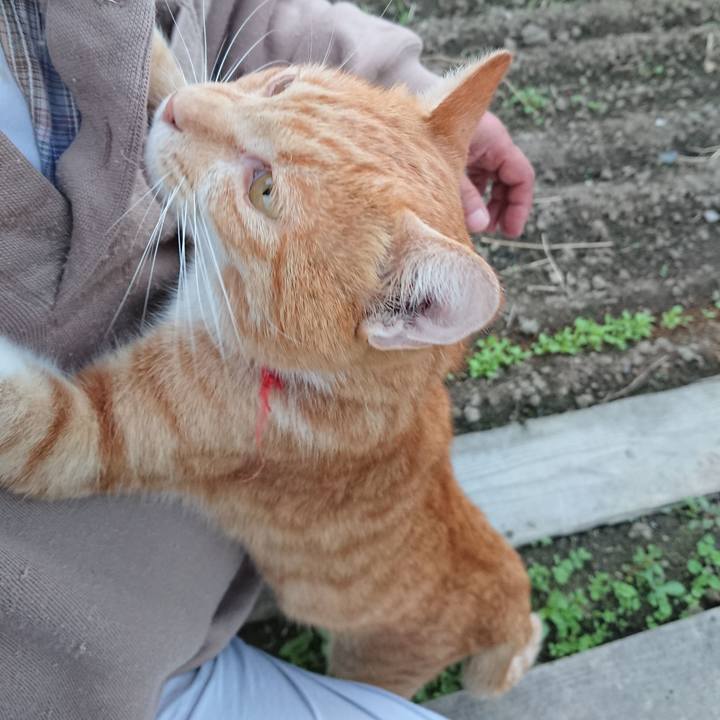 69cc232f ab0c 433b 8e0e ee9931e746b4 1568840115151