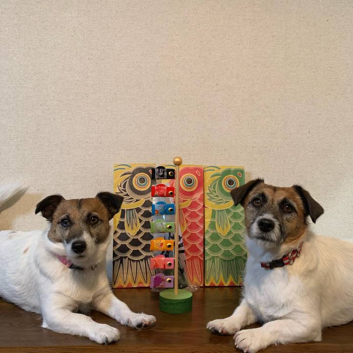 69cc4e31 41f8 4057 84e9 2591b4d8f06b 1620180839050