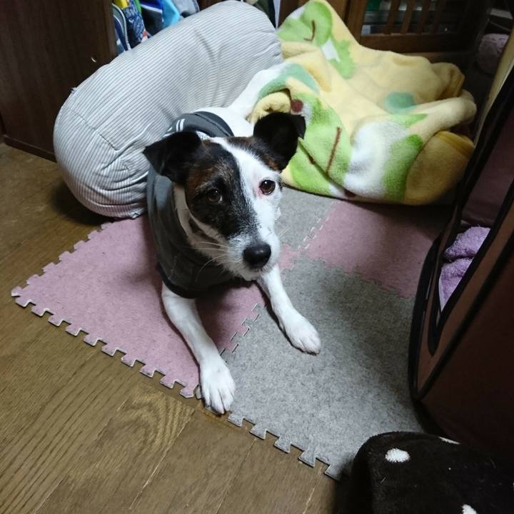 69cc7364 1ef5 4a35 bd97 dc10b735a4c8 1508710734095