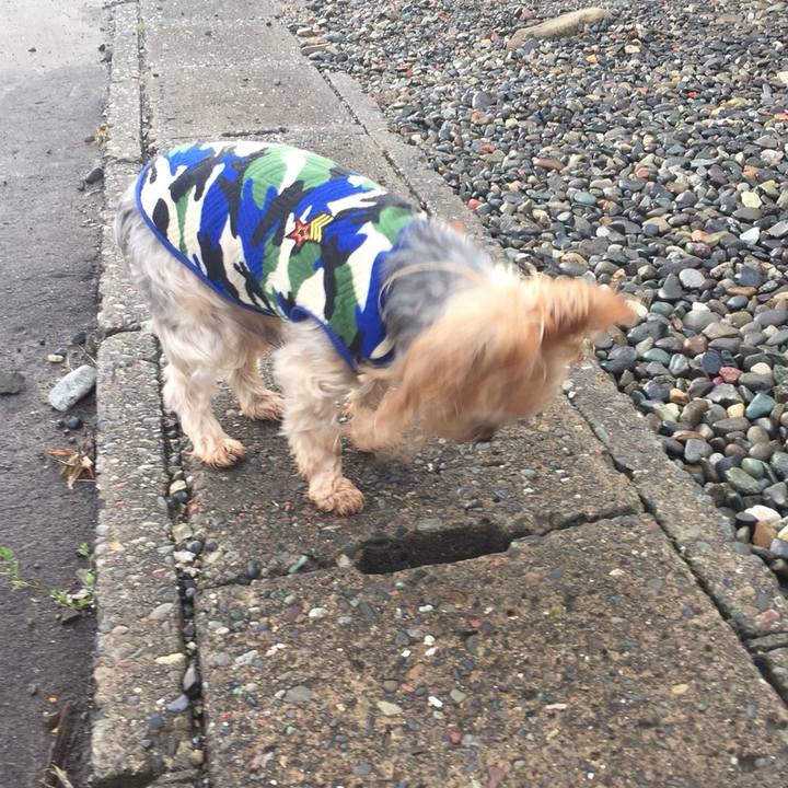 69ccb06c 7161 439f 9543 c6a1ff594ed3 1539556372703