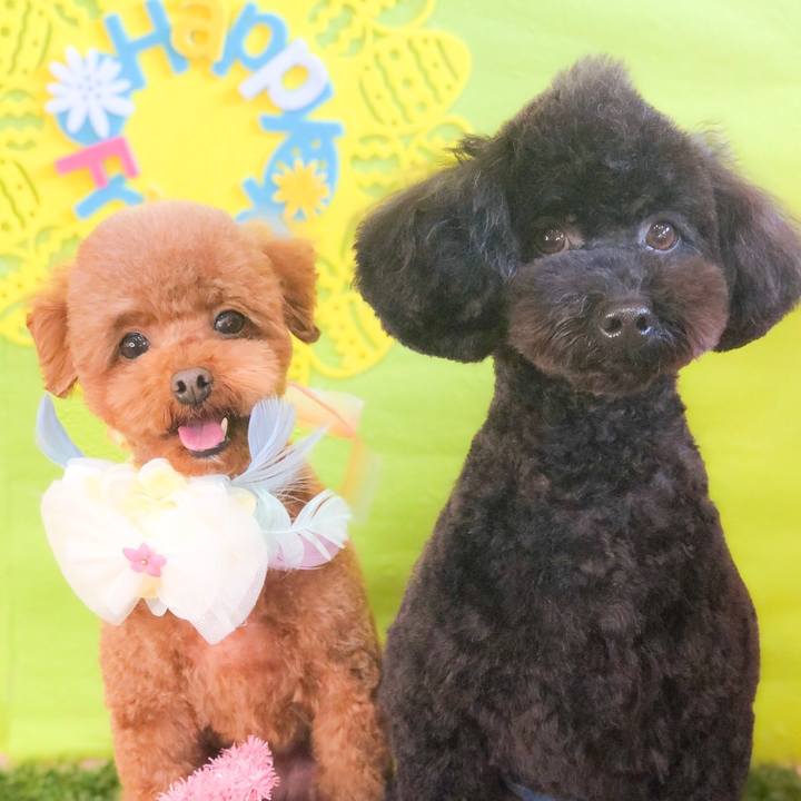 69ccefab b81c 4173 8620 965e38051b9b 1583139805381