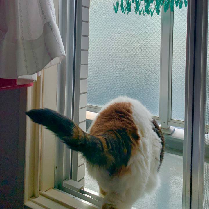 69ccfb44 80c3 407c 8648 dda50b687bbf 1564526687708