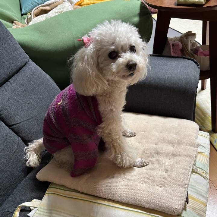 69cd3958 c02e 4137 97c0 5f65bf0e2b50 1771322400262