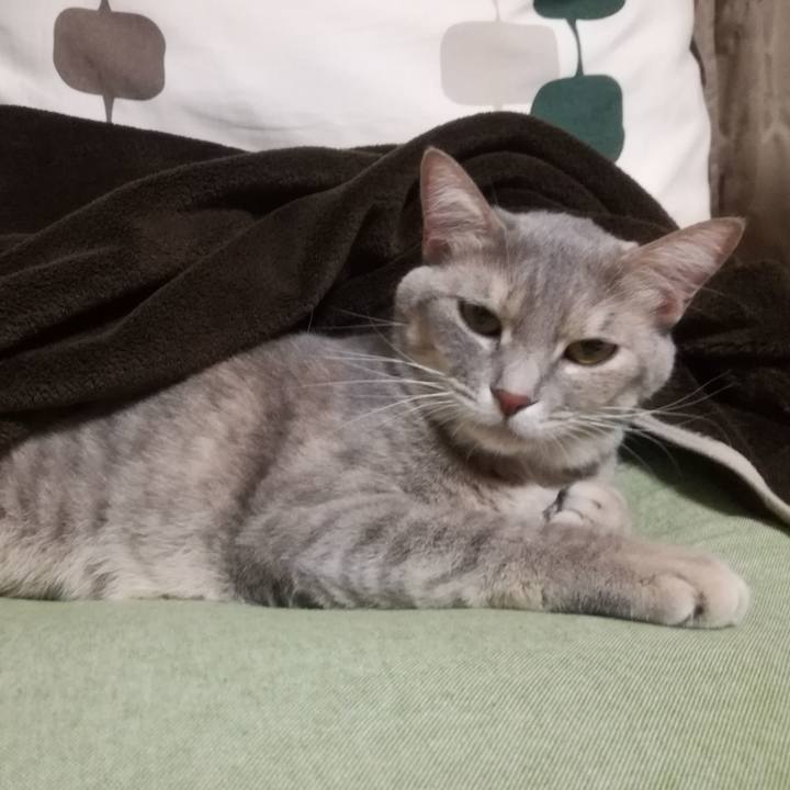 69cd3e9d 025f 4bff 8838 7fc599fed60e 1509804678398