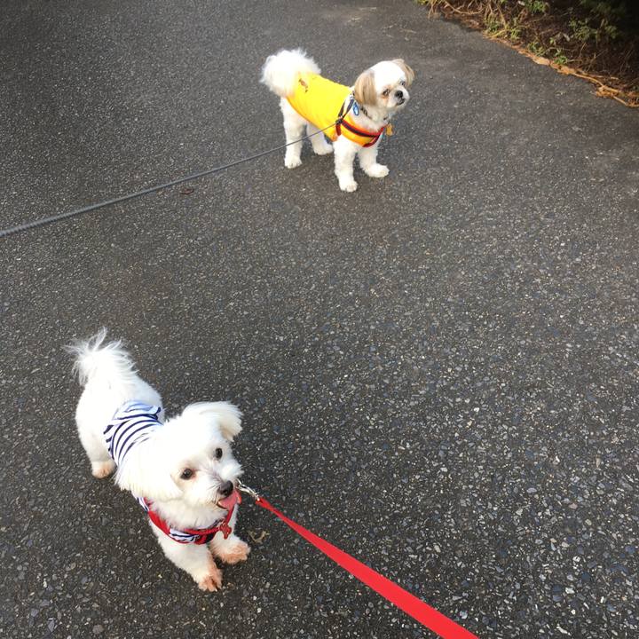 69cd4d7c 9963 4ff9 a674 b3867205bed1 1597705740898