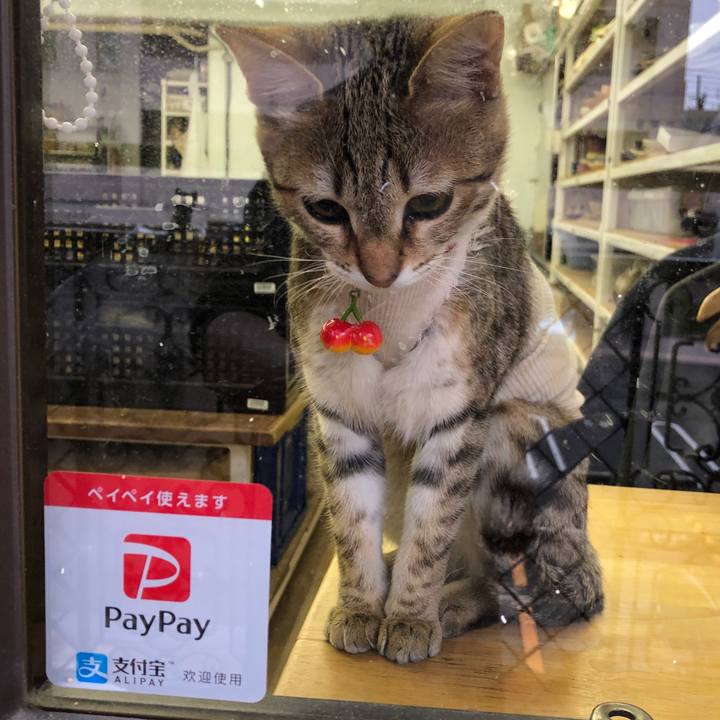 69cd54cb 11f4 49ae 97f0 cb6923d967ad 1582156182733