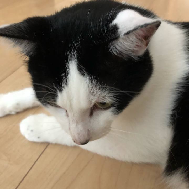 69cd573c 3c10 46d8 8fb5 dbca52781b74 1567654099751