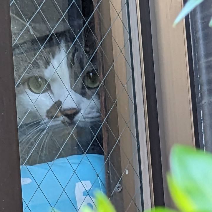 69cd6c87 4efc 4df5 b4aa ac5c35f74d46 1690327450587