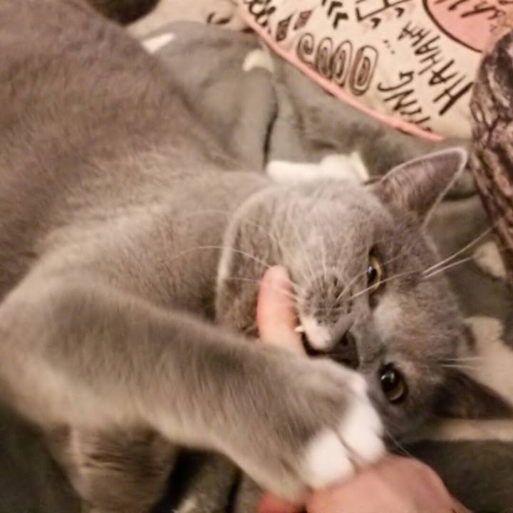 69cd9bb3 8616 4eaf 9859 ef9baa41193c 1547611124238