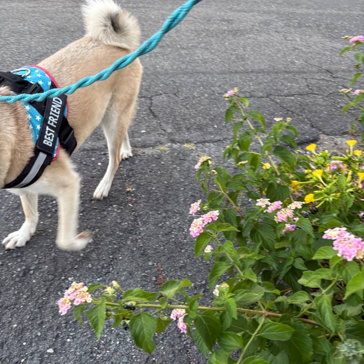 69cdb433 6307 4c0c 9cf6 8b4873ea59a7 1753793260913