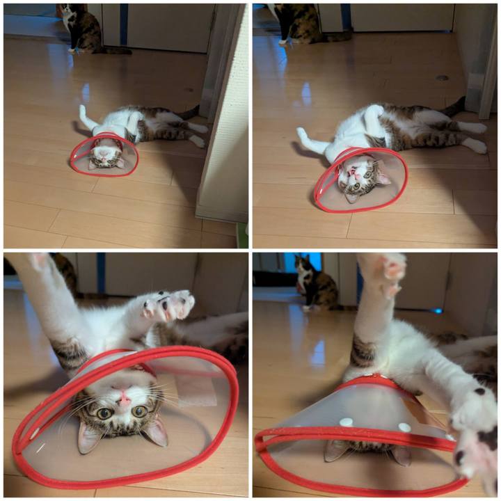 69cdd585 30be 468a 96bb e35136a8af28 1752734682531