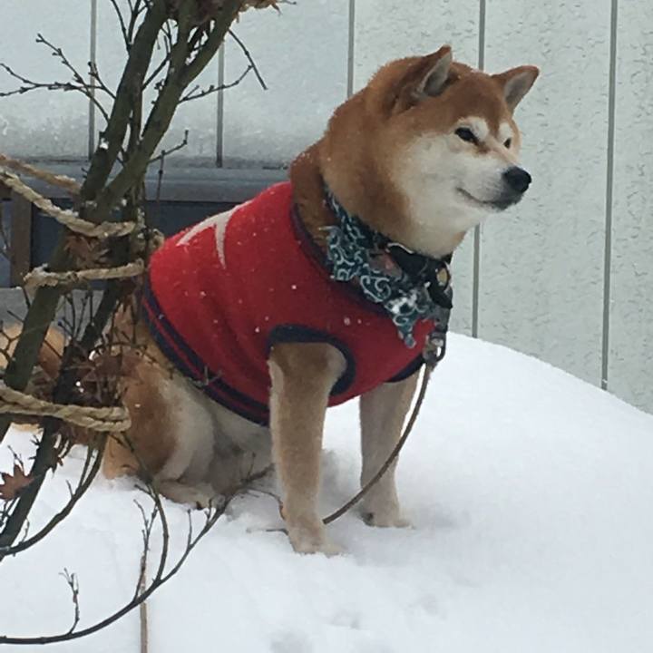 69cde60a 02f4 42fc a713 d131b678fb90 1518826295964