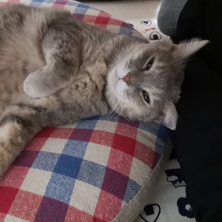 69ce05b4 9fd6 4f39 8c22 567c69de4cb1 1571755782874