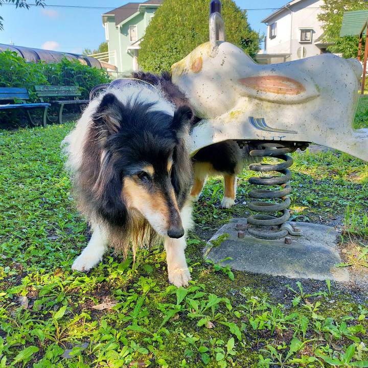 69ce3095 116b 4e77 8707 0bbafe1b108f 1626797449291