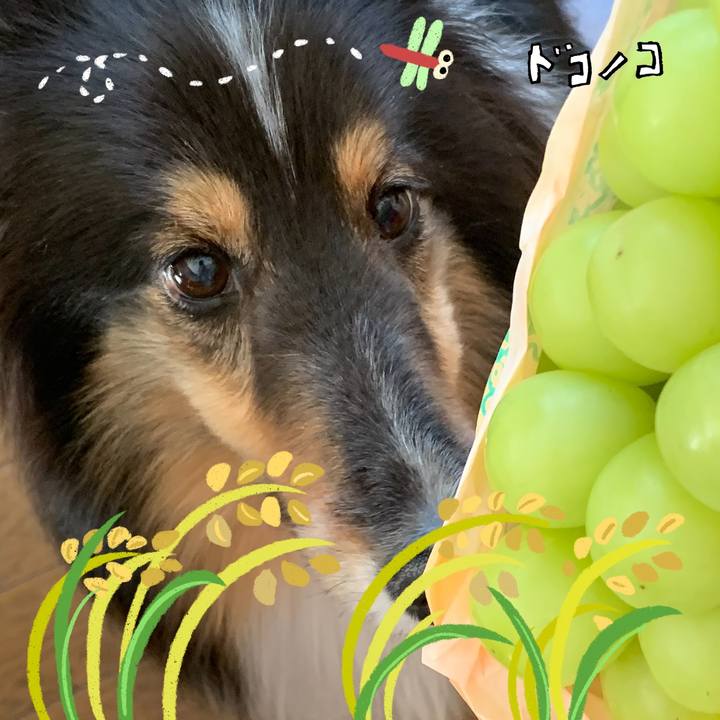 69ce343e 83cf 4053 bb62 0991f747e22b 1761157478227