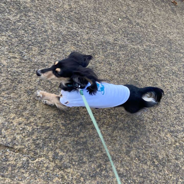 69ce41d8 b5d9 42d9 9b22 a196f3aa4192 1734511072510