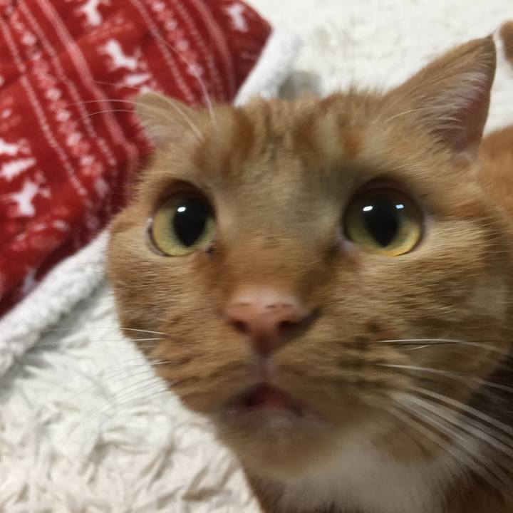 69ce5419 c38b 48e6 b671 e76dff3dd507 1582810301985