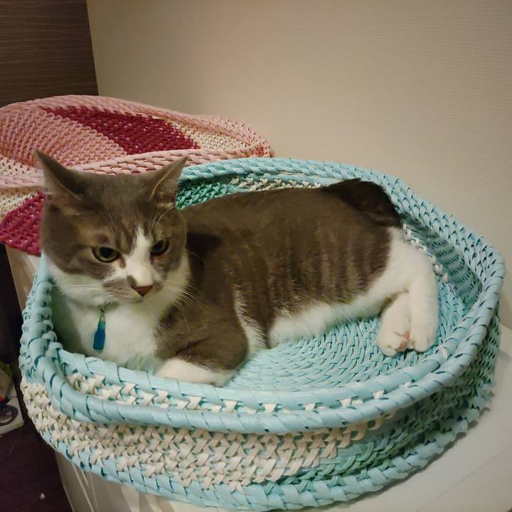 69ce60ca 0756 4bbb 88ca 1bd13f42843d 1658148423195