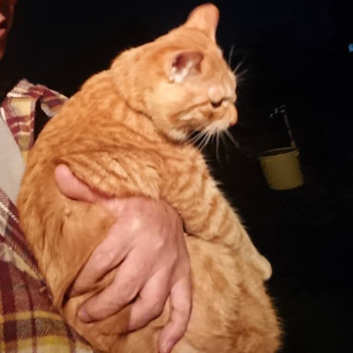 69ce7908 3b50 4966 91f7 8a55b898b7d2 1639570331846