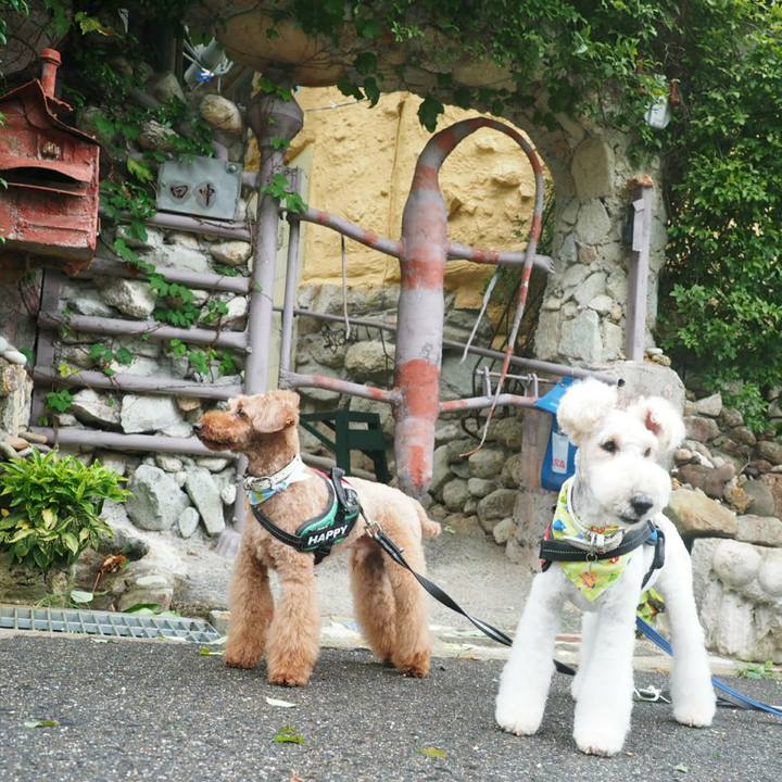 69ce891b 70a7 40eb af67 ba287ceb2502 1532998346235