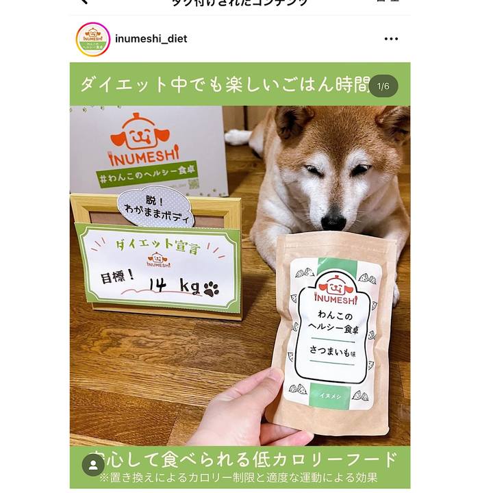 69ce9c7a 4826 469d 95f8 51ca45f47e0f 1724810812839