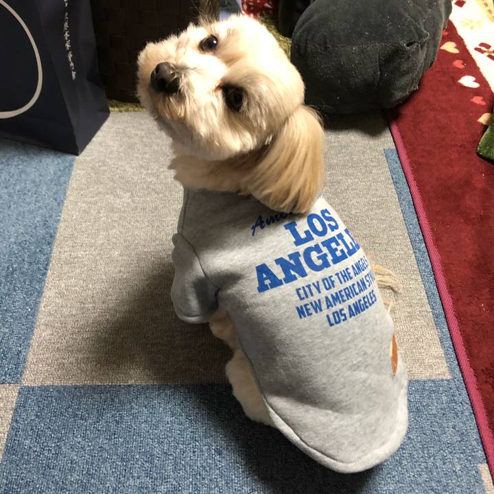 69ceb1c7 5d64 464d 848d 07420640318d 1514530945324