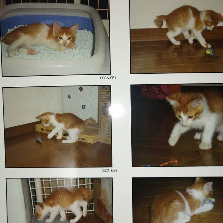 69cfa197 443c 4294 be80 99d7caa9855c 1621895108743