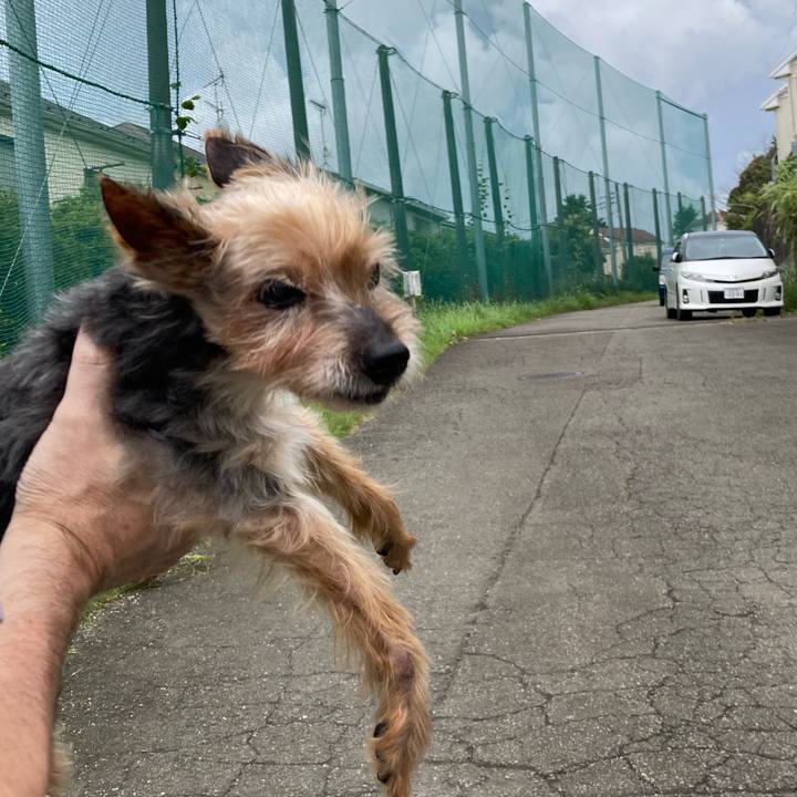 69cff160 8c37 422e 86c5 1e5cb917e399 1700559186452