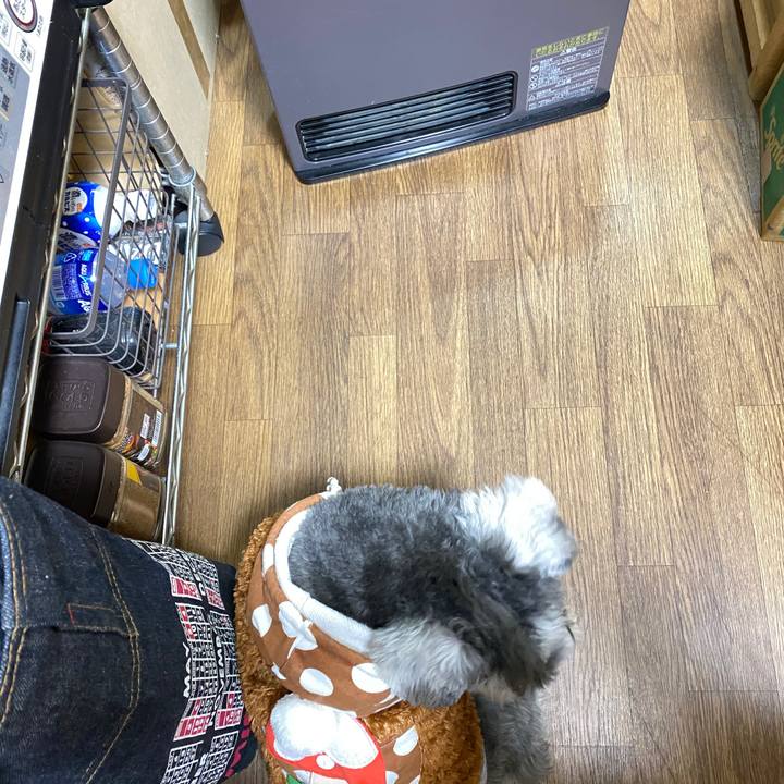 69cffa9f 3848 495a baee 4d83e89315d3 1578062784722