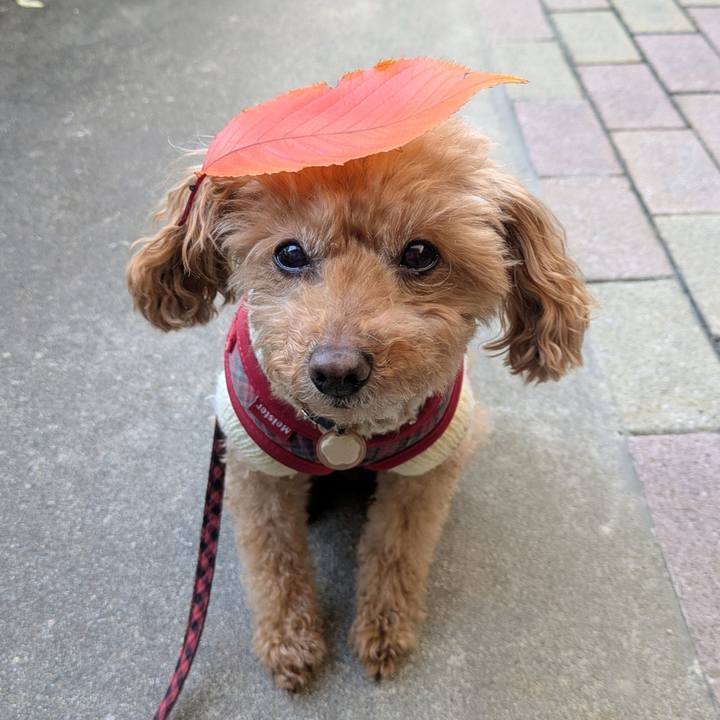 69d02bdf 444f 495d bed5 6c7f15bdc4ba 1764285732832