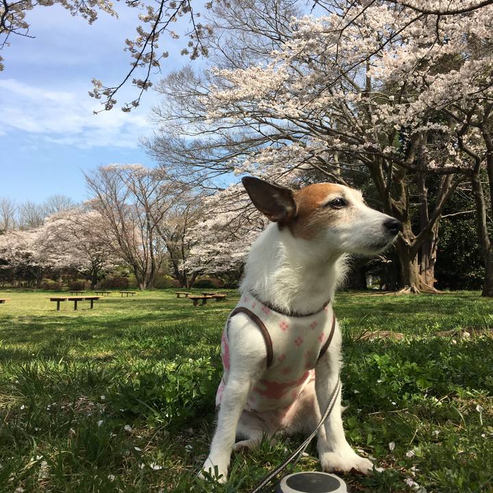 69d05fd4 709c 4851 82b8 f3277cea4f8e 1649028031127