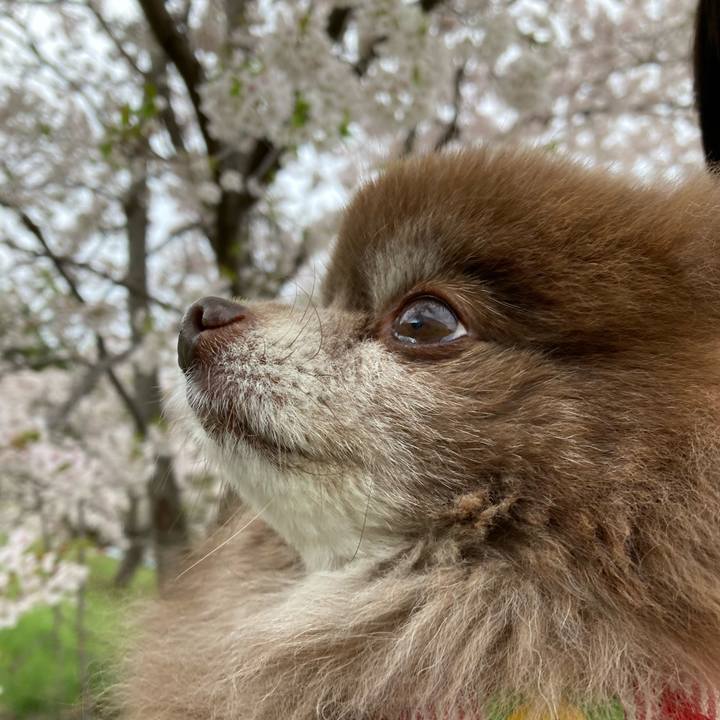 69d097e2 6f56 4b5d a3d0 3b74d8d4a925 1651363628961