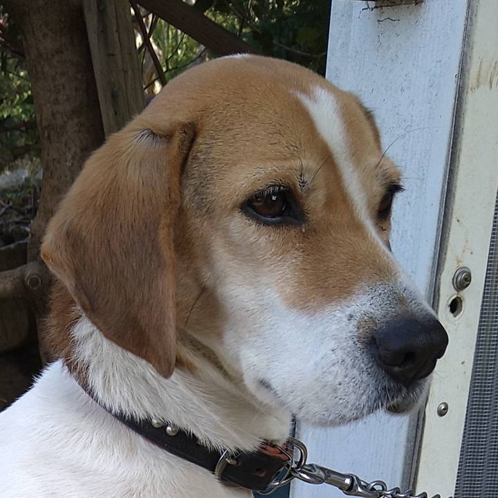 69d10086 51d4 43ab aecf 1748ace61a2e 1645623581851