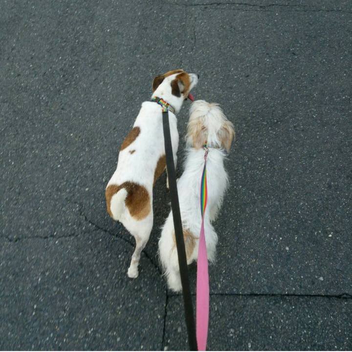 69d11586 3262 4604 9de4 f8cf8a0e092d 1756160429329