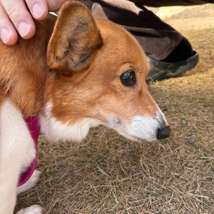 69d12381 2fb0 47ae 9b1a b75e3915f61b 1734235657303