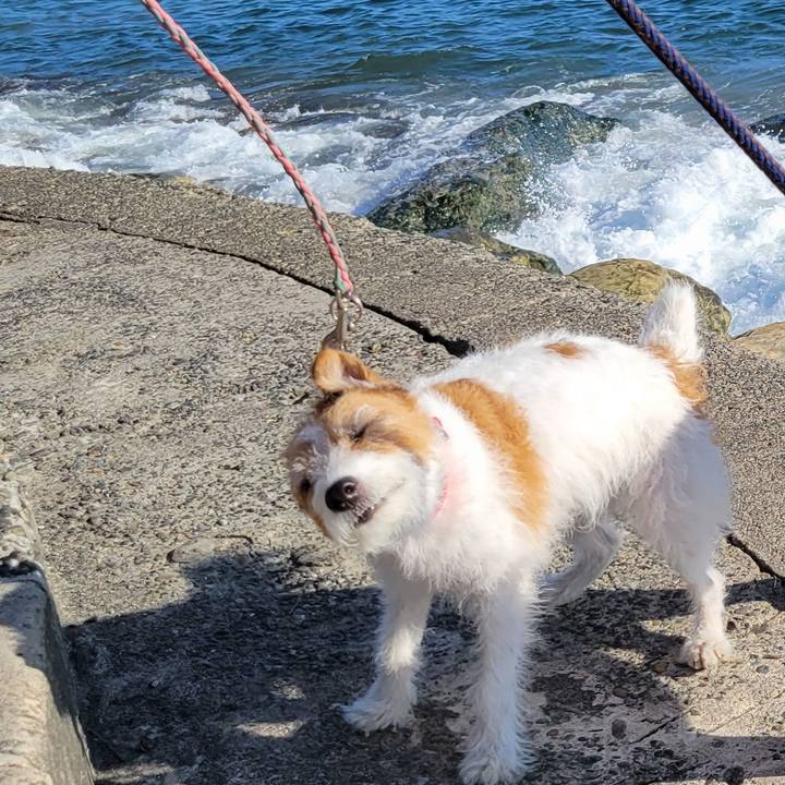 69d12b40 a9b8 4ebd 87e1 0b515dd82a98 1696073190365