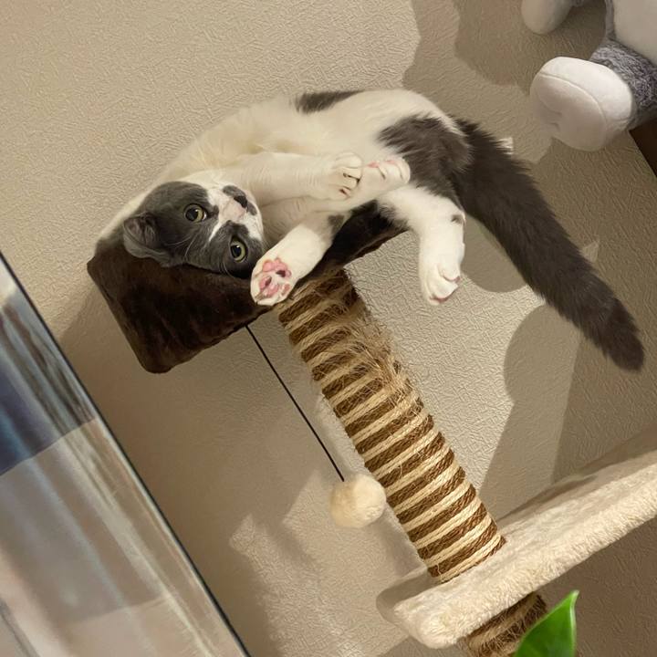 69d137d0 62f7 4855 bd5a 4e4b88094ec2 1719925204372