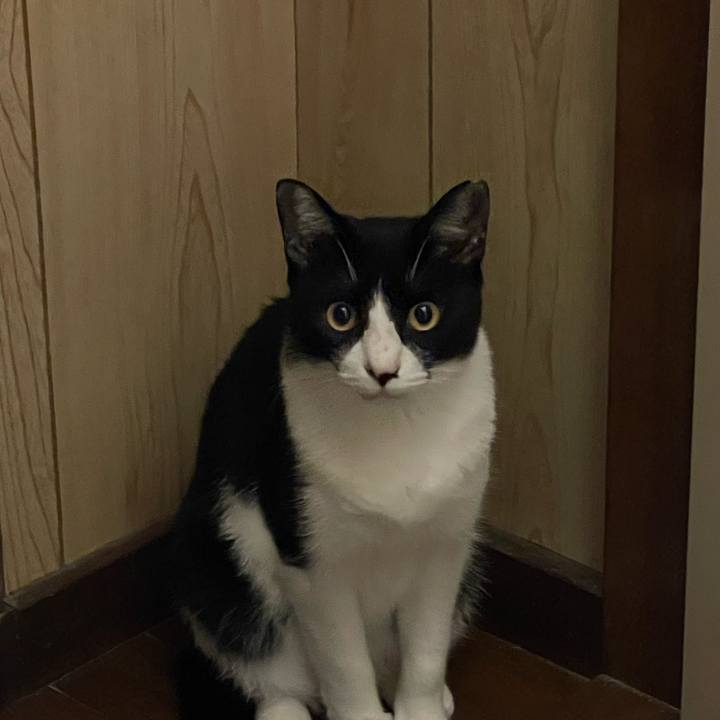 69d151e7 2d3f 472b 8242 9ea547b5d4b3 1694352301798